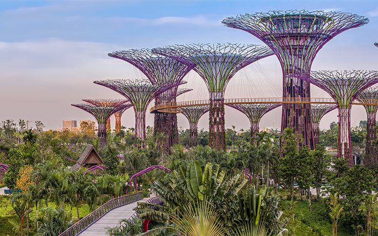 Gardens of the Bay